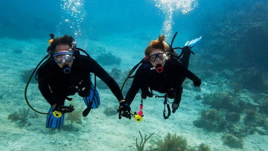 Çeşme Dalış Turu (Scuba Diving)